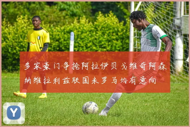 多家豪门争抢阿拉伊贝戈维奇阿森纳维拉利兹联国米罗马均有意向